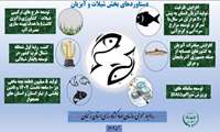 دستاوردهای بخش شیلات و امور آبزیان